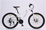 Xe đạp địa hình thể thao California Modeltime Durian 2023
